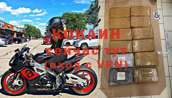 хмурый Алзамай