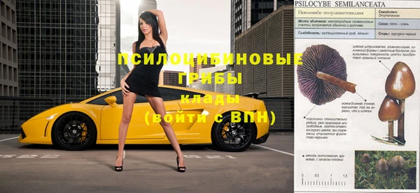 хмурый Алзамай