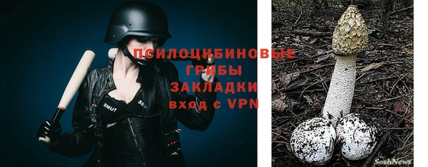 хмурый Алзамай