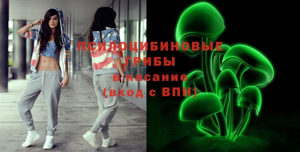 хмурый Алзамай